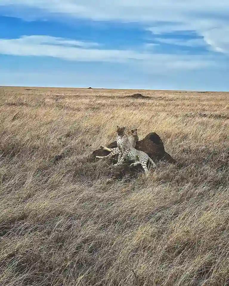 Kenya adventure safaris