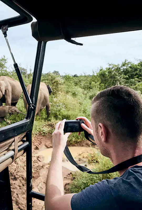 African wildlife photography