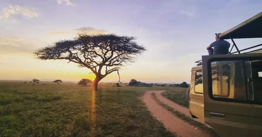 Tarangire National Park Safaris