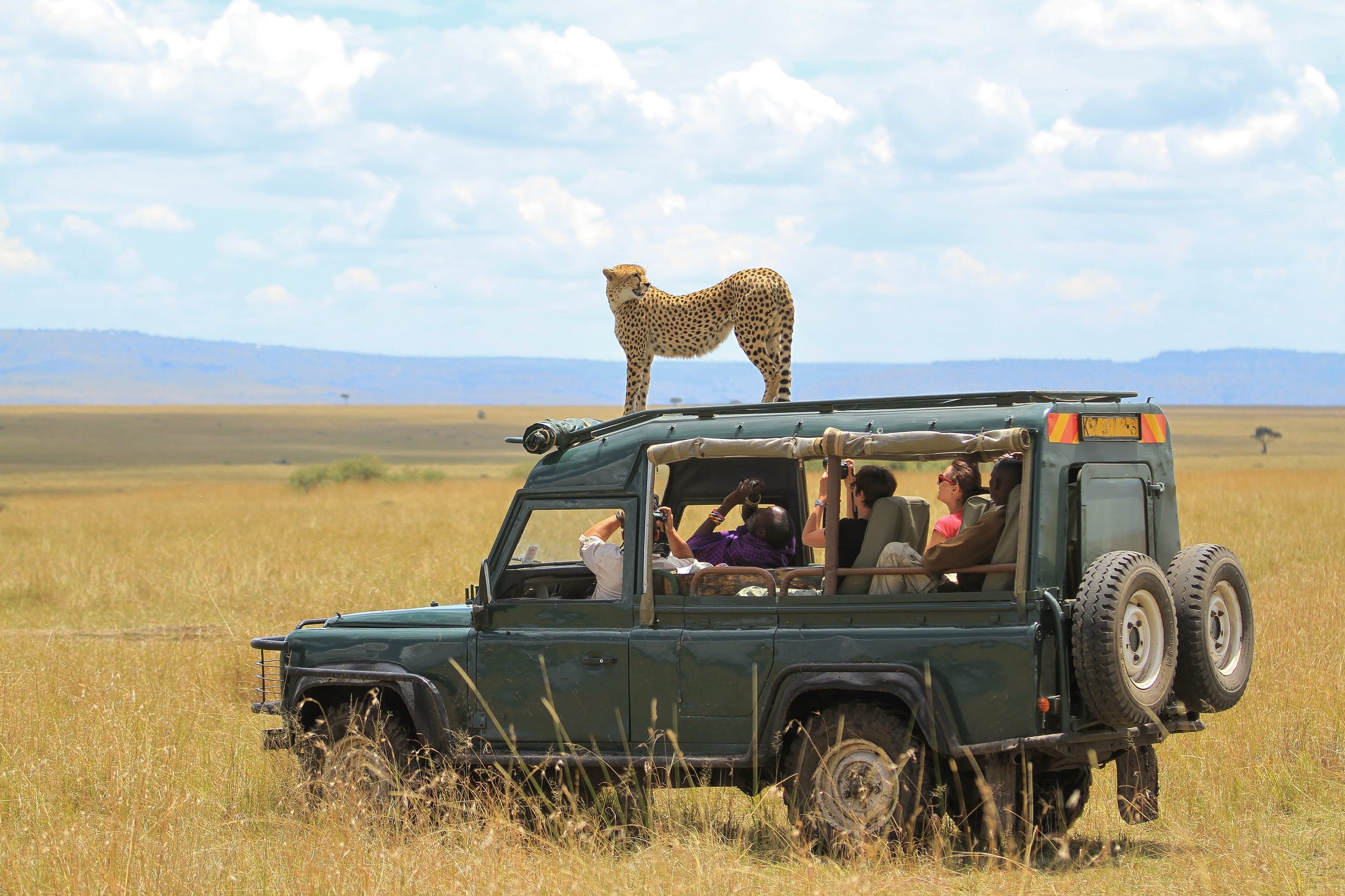 10 must visit safari destinations in Africa!