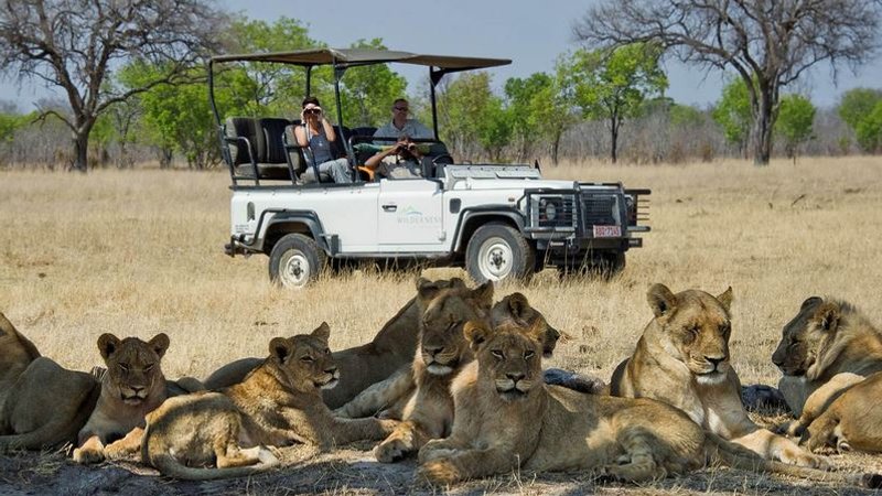 A day in the life of a safari guide