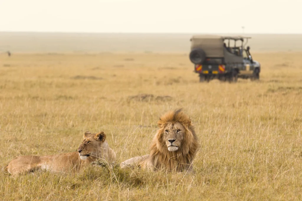 Masai Mara National Reserve, Kenya