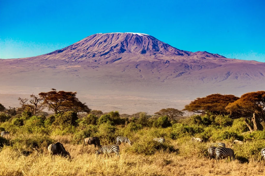 Planning Your Kilimanjaro Climb!