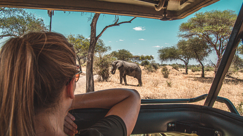The best time of year to go on a safari in Africa