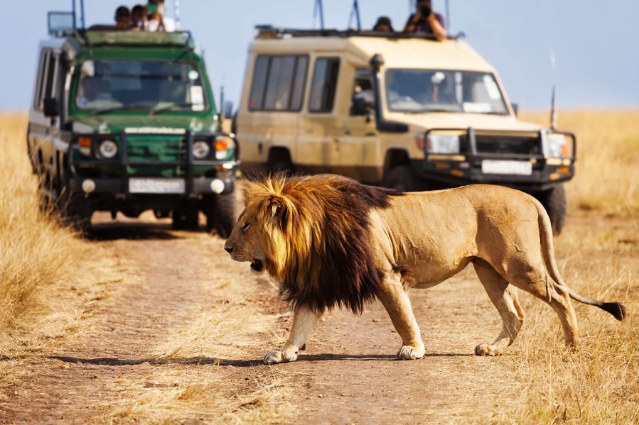 best game drives in africa