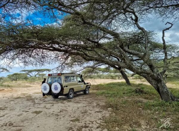 Excellent addition for the safari tour