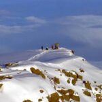 Rongai Trekking