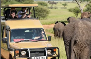 5 Essential Tips for Families Planning an Unforgettable African Safari Adventure